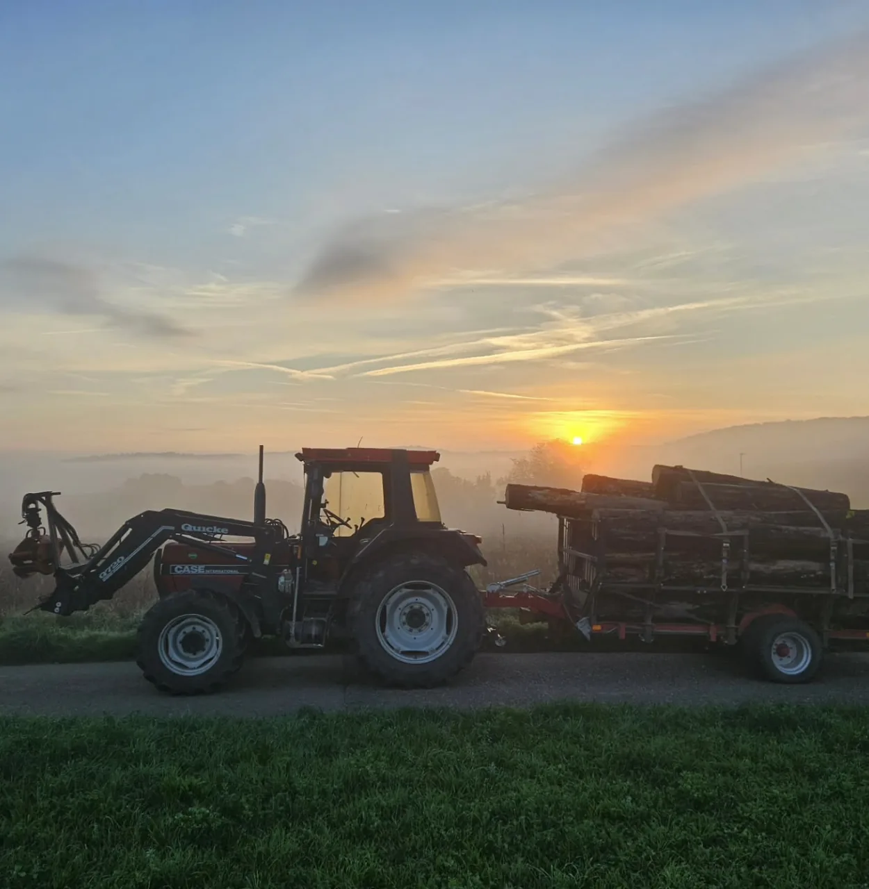 Traktor mit frisch geschnittenem Holz bei Sonnenuntergang