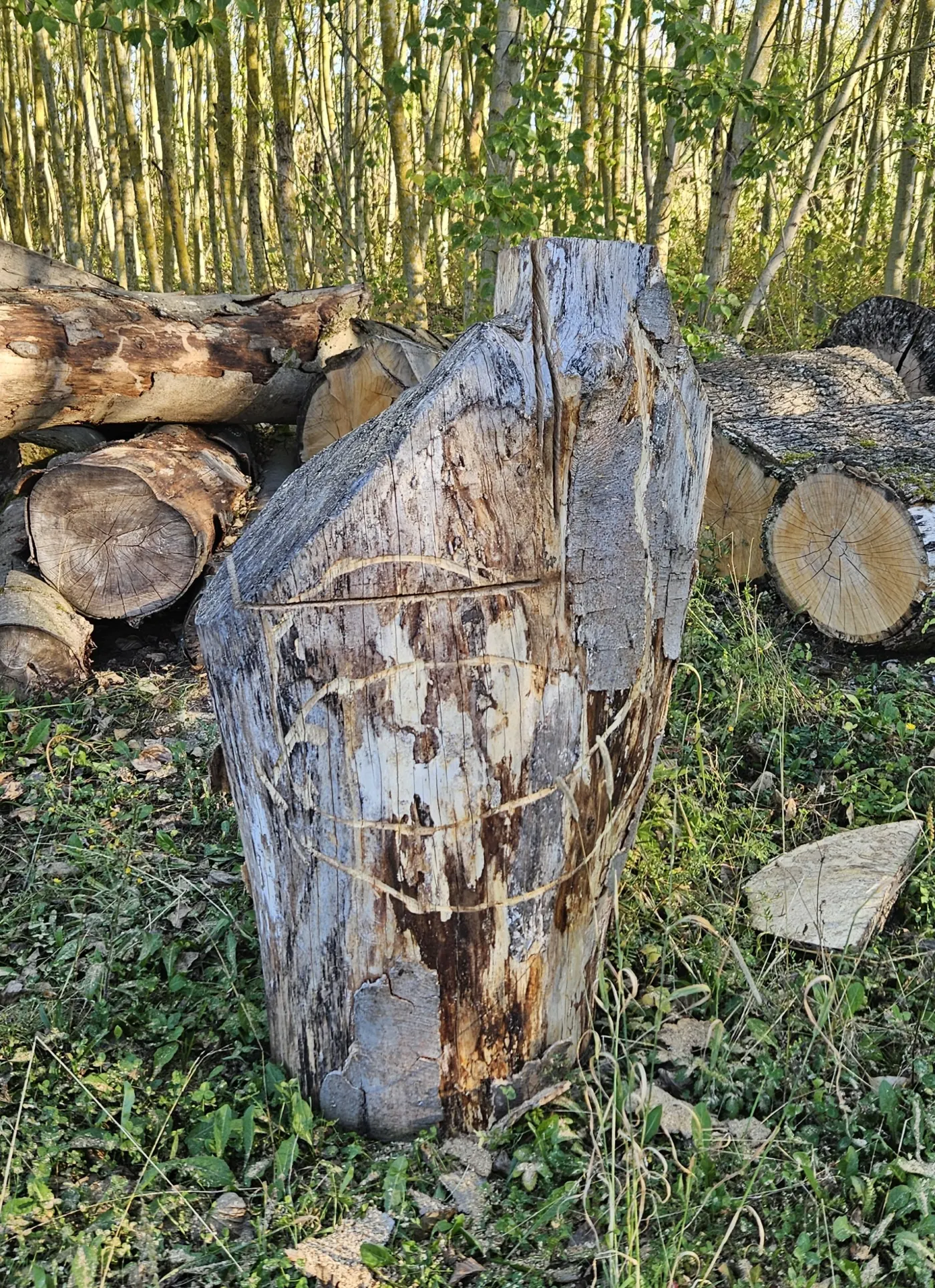 große Achtelnote Ansicht 4